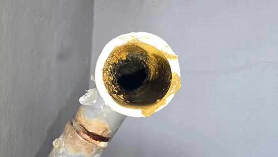 A close-up of a dirty pipe interior.
