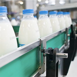 Milk Bottles in Line